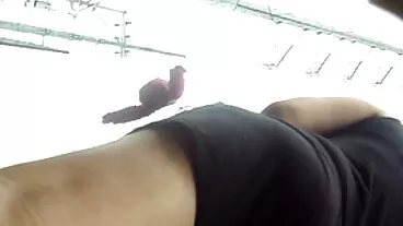BangBros: નવી છોકરી બેલા દાના સાથે પોર્નએચડી પર હાર્ડ ફક્ડ દેશી સેકસી બીપી કરે છે